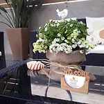 Almirikia 아파트 모우르테리