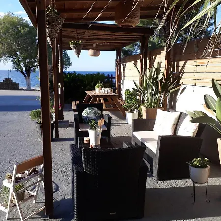 Almirikia * Mourteri